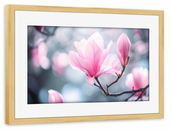 Poster mit Rahmen kiefer "Rosa Magnolien-Bokeh" artboxONE - Natur,Floral - Blühen,Blühen,Blüte,Bokeh,Blume,Magnolie,Natur,Baum