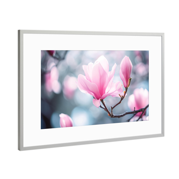 Poster mit Rahmen Silber "Rosa Magnolien-Bokeh" artboxONE - Natur,Floral - Blühen,Blühen,Blüte,Bokeh,Blume,Magnolie,Natur,Baum