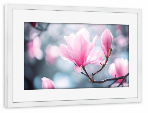 Poster mit Rahmen weiß "Rosa Magnolien-Bokeh" artboxONE - Natur,Floral - Blühen,Blühen,Blüte,Bokeh,Blume,Magnolie,Natur,Baum