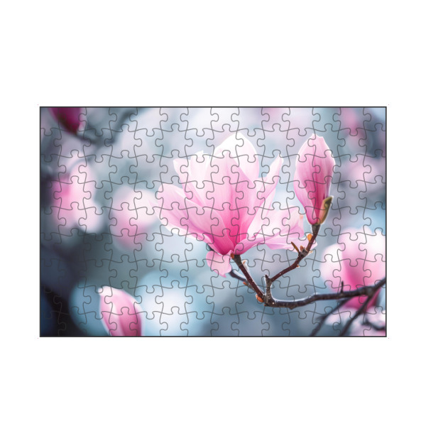 artboxONE Puzzle "Rosa Magnolien-Bokeh" artboxONE - Natur,Floral - Blühen,Blühen,Blüte,Bokeh,Blume,Magnolie,Natur,Baum - Bild blühen