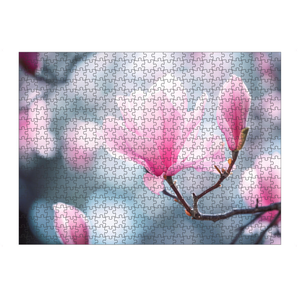 Puzzle Ravensburger "Rosa Magnolien-Bokeh" artboxONE - Natur,Floral - Blühen,Blühen,Blüte,Bokeh,Blume,Magnolie,Natur,Baum - Bild blühen
