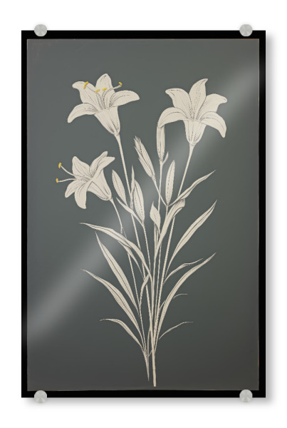 Acrylglasbild "Drei weiße Lilien" artboxONE - Floral - Kunst,Braun,Leinwand,Zart,Detail,Blume,Lilium,Lilie,Minimal,öl,Farbe,Malerei