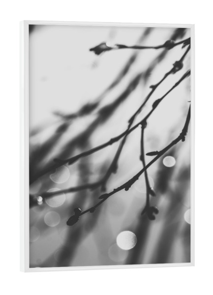Poster mit weißem Rahmen "Dämmerungsfunkeln" artboxONE - Natur,Abstrakt