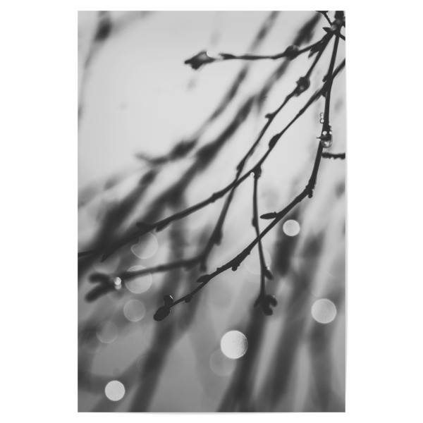 Poster "Dämmerungsfunkeln" artboxONE - Natur,Abstrakt