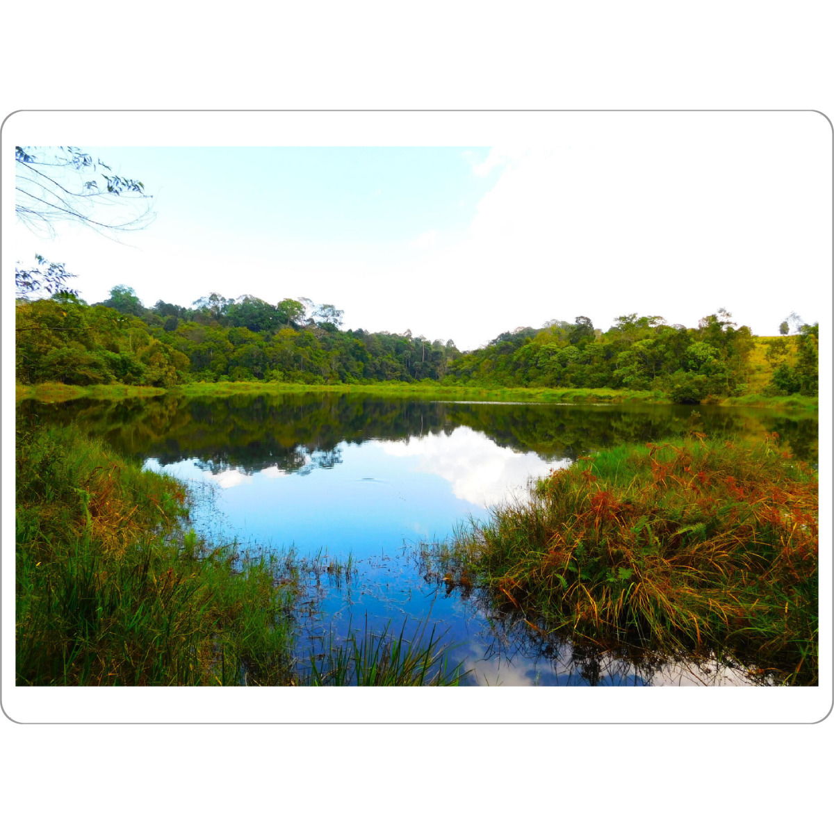 Tischset "See im Dschungel" artboxONE - Natur,Reise,Reise / Asien,Reise / Länder