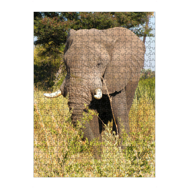 Puzzle Ravensburger "Ein Elefant in Afrika" artboxONE - Natur,Reise,Tiere,Reise / Afrika,Reise / Länder