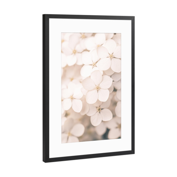 Poster mit Rahmen Schwarz (Metallic) "Romantische Blüten Liebe" artboxONE - Natur,Floral,Liebe