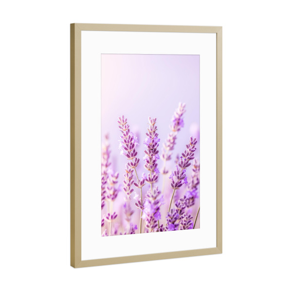 Poster mit Rahmen Gold "Lavendel Song" artboxONE - Floral,Liebe,Ultraviolet