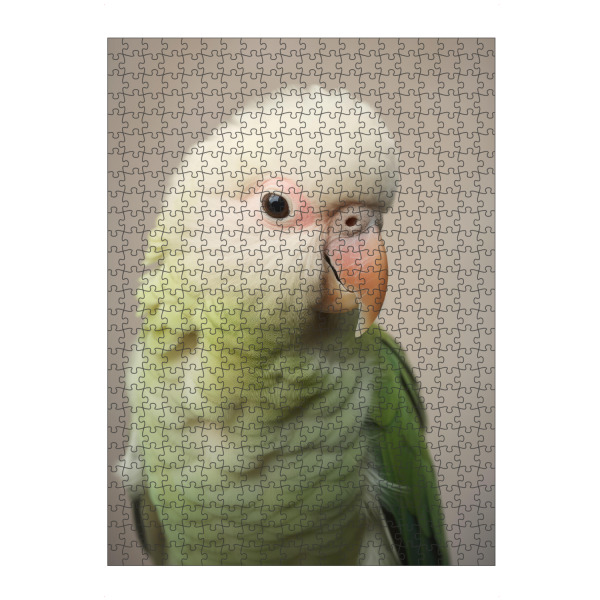 Puzzle Ravensburger "Glücklicher Quäkerpapagei" artboxONE - Tiere