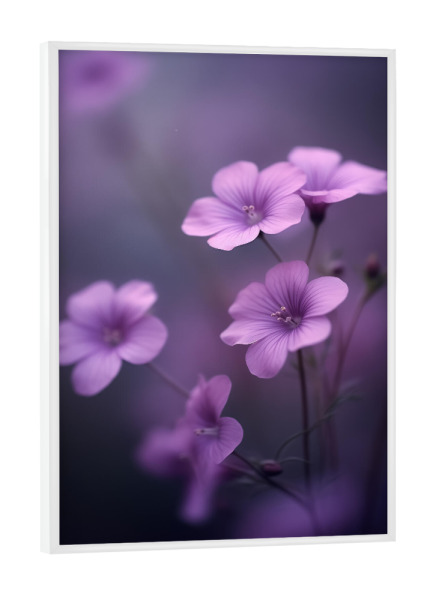 Poster mit weißem Rahmen "Foto von zarten violetten Blüten" artboxONE - Floral,Tiere