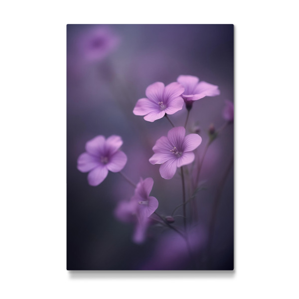Galerie-Print "Foto von zarten violetten Blüten" 30x20 cm artboxONE
