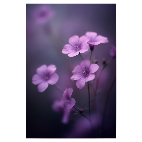 Poster 30x20 cm "Foto von zarten violetten Blüten" artboxONE - Floral,Tiere - Bokeh,Zart,Detail,Blume,Farbtöne,Makro,Natur,Rosa,Weich,Frühling,Violett