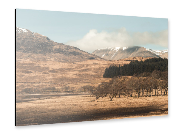 Alu-Dibond "Trees of Scotland" 30x20 cm artboxONE