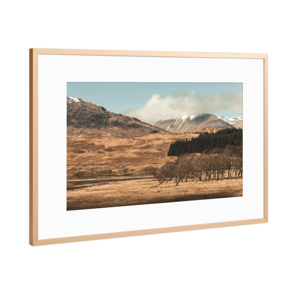Poster mit Rahmen Kupfer "Trees of Scotland" artboxONE - Natur,Reise,Reise / Länder - Scotland,Schottland,Highlands,Natur,Nature,Trees,Bäume,Baum