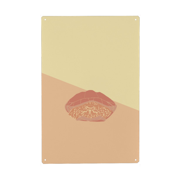 Metall Poster "Kleine Wasserschildkröte" artboxONE - Tiere