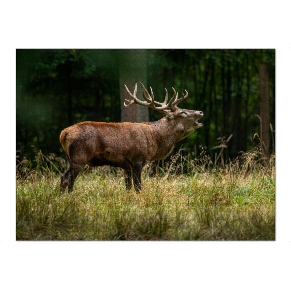 Puzzle Ravensburger "Rothirsch im Wald" artboxONE - Natur,Tiere - Hirsch,Brunft,Hirsche,Rothirsch,Rotwild,Wild,Wildtiere,Wald - Bild hirsch