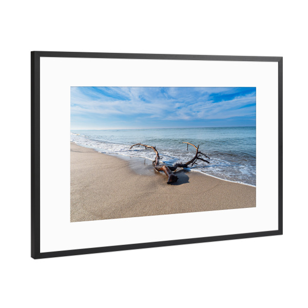 Poster mit Rahmen Schwarz (Metallic) "Ast am Weststrand" artboxONE - Natur,Reise,Reise / Strand und Meer