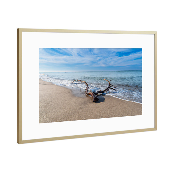 Poster mit Rahmen Gold "Ast am Weststrand" artboxONE - Natur,Reise,Reise / Strand und Meer