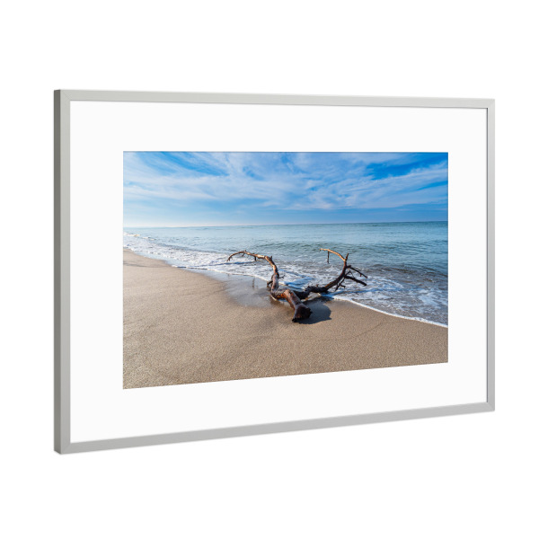 Poster mit Rahmen Silber "Ast am Weststrand" artboxONE - Natur,Reise,Reise / Strand und Meer