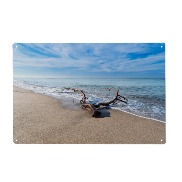Holzbild "Ast am Weststrand" artboxONE - Natur,Reise,Reise / Strand und Meer
