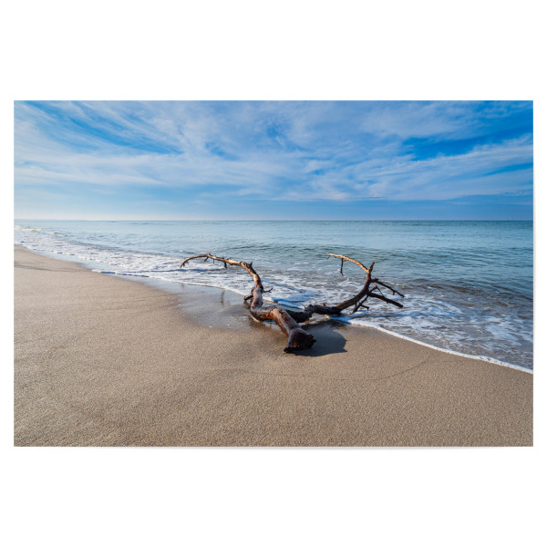 Poster "Ast am Weststrand" artboxONE - Natur,Reise,Reise / Strand und Meer