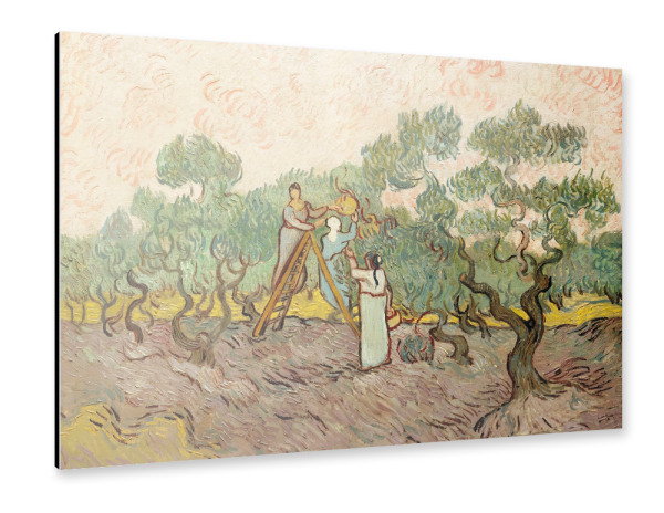 Alu-Dibond "Frauen pflücken Oliven" 30x20 cm artboxONE