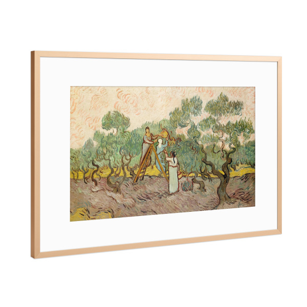 Poster mit Rahmen Kupfer "Frauen pflücken Oliven" artboxONE - Natur,Reise,Reise / Länder,Für Mama,Für Papa