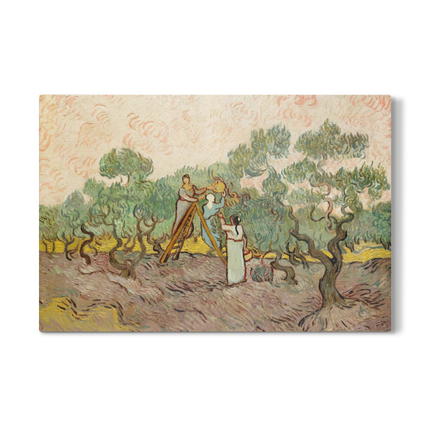 Galerie-Print "Frauen pflücken Oliven" 30x20 cm artboxONE
