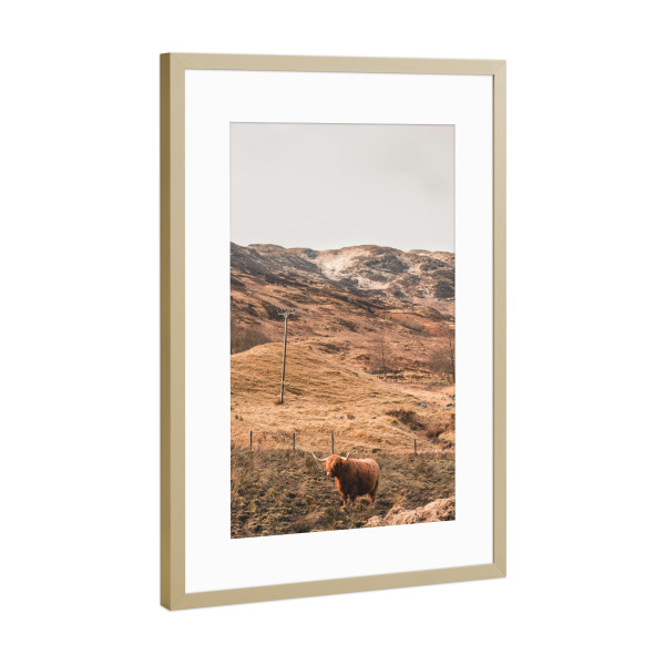 Poster mit Rahmen Gold "Standing and waiting" artboxONE - Natur,Reise,Tiere