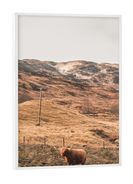Poster mit weißem Rahmen "Standing and waiting" artboxONE - Natur,Reise,Tiere