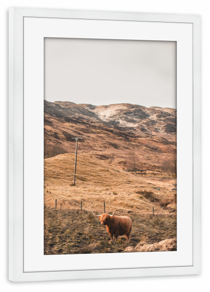 Poster mit Rahmen weiß "Standing and waiting" artboxONE - Natur,Reise,Tiere