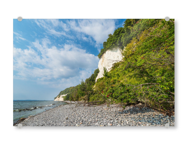 Acrylglasbild "Kreidefelsen, Bäume, Steine" artboxONE - Natur,Reise,Reise / Strand und Meer