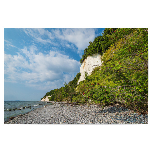 Poster 30x20 cm "Kreidefelsen, Bäume, Steine" artboxONE - Natur,Reise,Reise / Strand und Meer