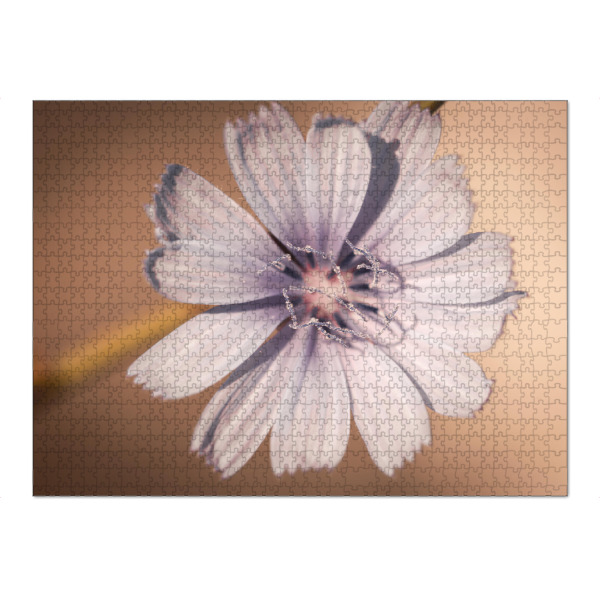 Puzzle Ravensburger "Cichorium intybus" artboxONE - Natur,Floral - Cichorium intybus,Flower,Blossom,Blüte,Blume - Bild cichorium intybus