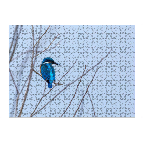 Puzzle Ravensburger "Eisvogel im Ansitz" artboxONE - Natur,Tiere - Eisvogel,Vogel,Fischer,Wildlife - Bild eisvogel