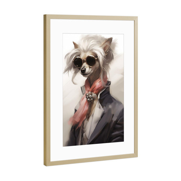 Poster mit Rahmen Gold "Fassion-Chihuahua" artboxONE - Tiere,Fashion,Lustig