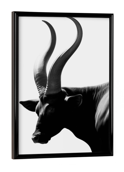 Poster mit schwarzem Rahmen "Horn minimalistisch" artboxONE - Natur,Tiere