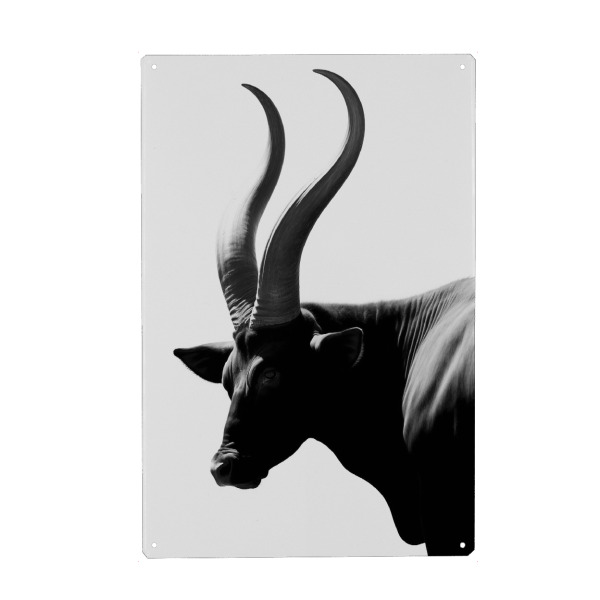 Metall Poster "Horn minimalistisch" artboxONE - Natur,Tiere