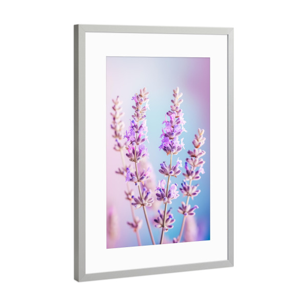 Poster mit Rahmen Silber "Lavendel Liebe" artboxONE - Floral,Liebe,Ultraviolet