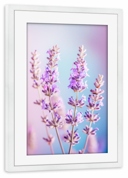 Poster mit Rahmen weiß "Lavendel Liebe" artboxONE - Floral,Liebe,Ultraviolet