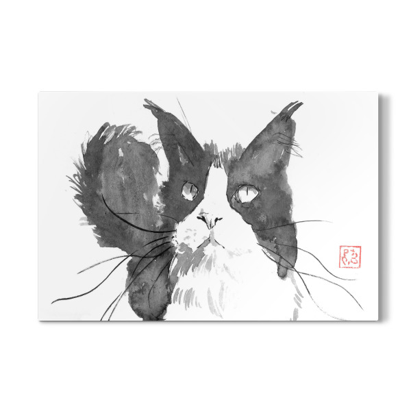 Galerie-Print "Katze weiß und grau" 30x20 cm artboxONE