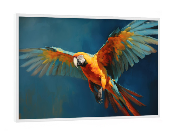 Poster mit weißem Rahmen "Fliegender Ara" artboxONE - Natur,Tiere