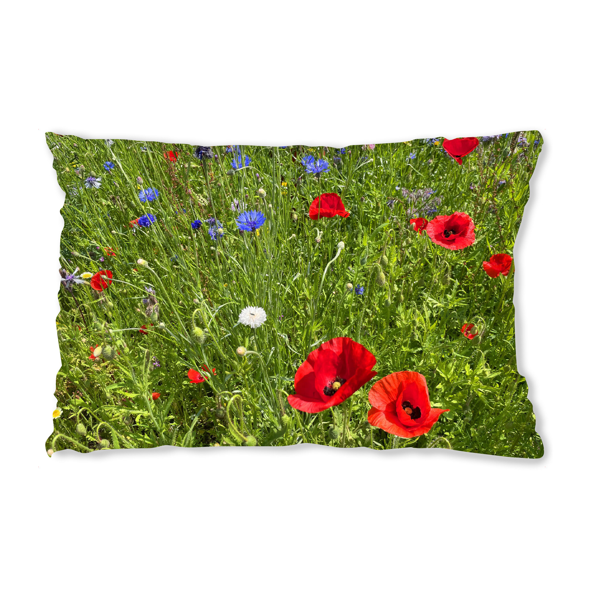 Design-Kissen "Roter Mohn und blaue Kornblumen" artboxONE - Natur,Floral