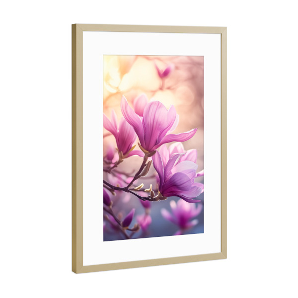Poster mit Rahmen Gold "Sonnenkuss-Magnolie" artboxONE - Natur,Floral,Liebe