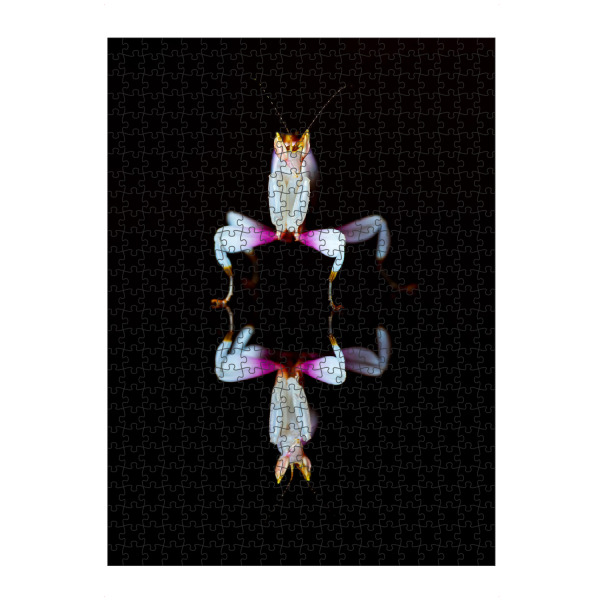 Puzzle Ravensburger "Orchideen Gottesanbeterin" artboxONE - Tiere