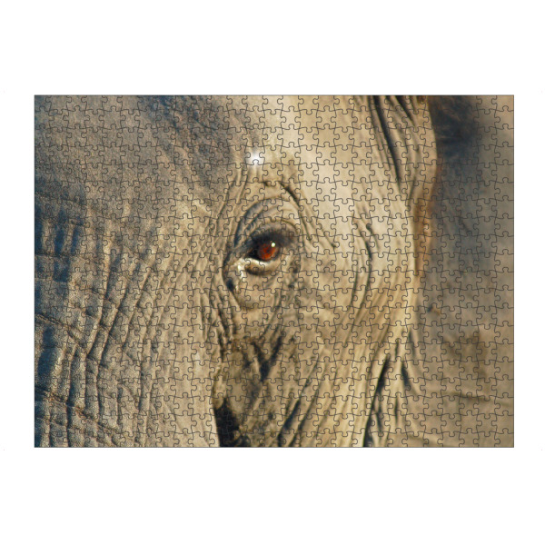 Puzzle Ravensburger "Ein Elefantenportrait" artboxONE - Reise,Tiere,Reise / Afrika,Reise / Länder