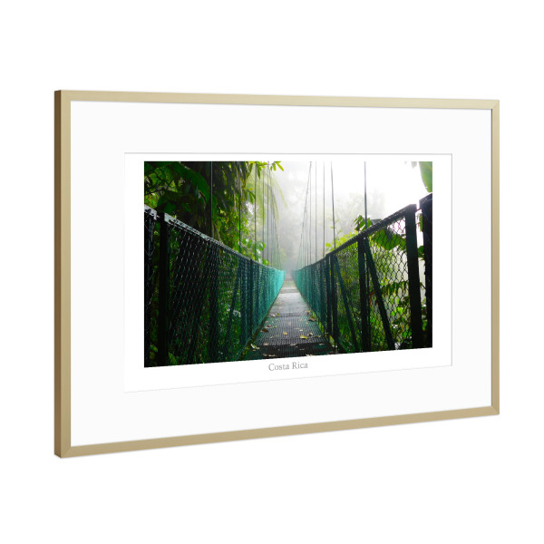 Poster mit Rahmen Gold "Junglebridge" artboxONE - Natur,Reise,Reise / Länder