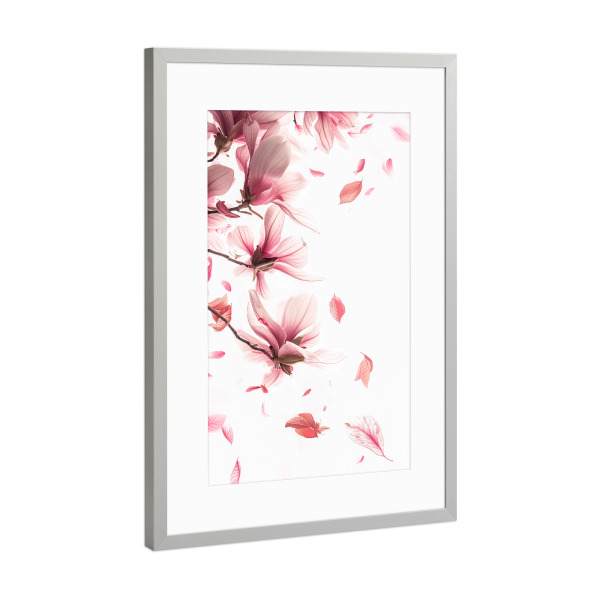 Poster mit Rahmen Silber "Strahlende Blütenkronenmagnolie" artboxONE - Natur,Floral,Liebe