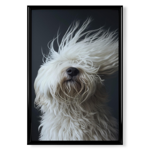 Bad Hair Day - Schäferhund