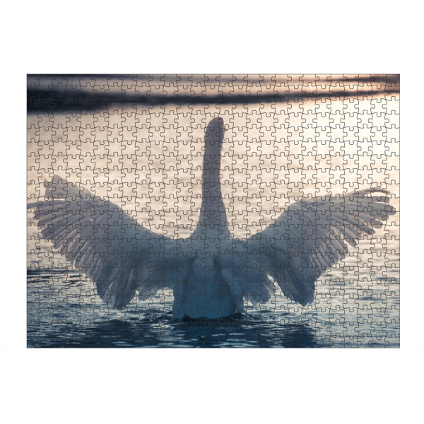 Puzzle Ravensburger "Majestätischer Schwan" artboxONE - Natur,Tiere